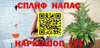 гидра Кандалакша