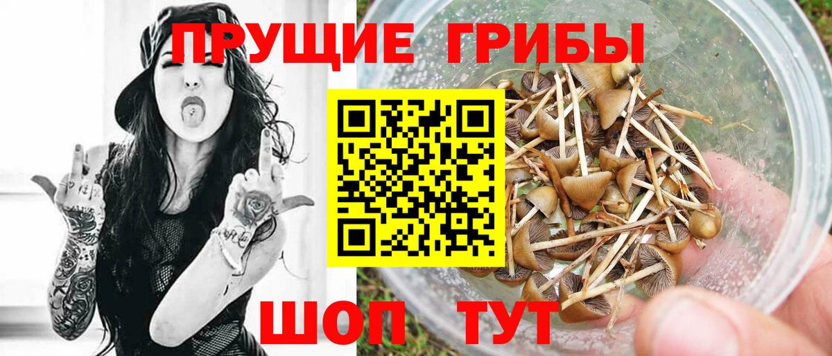 Псилоцибиновые грибы ЛСД Крымск